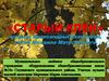 «Старый клён» музыка Александры Пахмутовой, слова Михаила Матусовского. 8 класс
