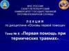 Первая помощь при термических травмах. Тема № 8
