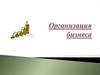 Организация бизнеса