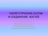 Скелет. Строение, состав и соединение костей