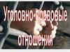 Уголовно-правовые отношения