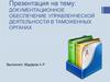 Документационное обеспечение управленческой деятельности в таможенных органах
