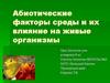 Абиотические факторы среды и их влияние на живые организмы