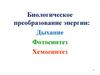 Биологическое преобразование энергии: дыхание, фотосинтез, хемосинтез