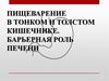 Пищеварение в тонком и толстом кишечнике. Барьерная роль печени