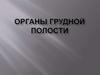 Органы грудной полости