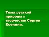 Тема русской природы в творчестве Сергея Есенина