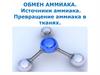 Обмен аммиака. Механизмы обезвреживания