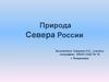 Природа севера России