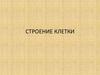Строение клетки (10)