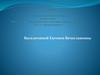 Портфолио   профессиональной деятельности учителя химии