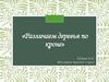 Различаем деревья по кроне, 2 класс