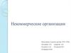 Некомерческая организация