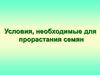 Условия, необходимые для прорастания семян