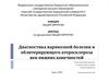 Диагностика варикозной болезни и облитерирующего атеросклероза вен нижних конечностей