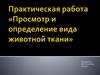 Просмотр и определение вида животной ткани
