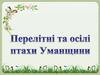 Перелітні та осілі птахи Уманщини