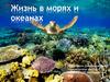 Жизнь в морях и океанах