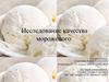 Исследование качества мороженого