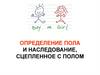 Определение пола и наследование, сцепленное с полом