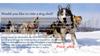 Would you like to ride a dog sled?