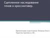 Сцепленное наследование генов и кроссинговер