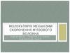 Молекулярні механізми скорочення м’язового волокна