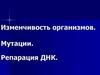 Изменчивость организмов. Мутации. Репарация ДНК