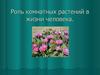 Роль комнатных растений в жизни человека