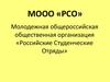 МООО «РСО» Молодежная общероссийская общественная организация «Российские Студенческие Отряды». Структура РСО