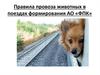 Правила провоза животных в поездах формирования АО «ФПК»