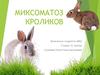 Миксоматоз кроликов