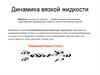 Динамика вязкой жидкости