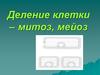 Деление клетки – митоз, мейоз