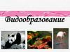 Видообразование