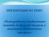 Розпорядники бюджетних коштів, їх функції та роль у виконанні бюджетних програм
