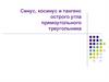Синус, косинус и тангенс острого угла прямоугольного треугольника