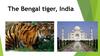 The Bengal tiger, India