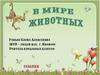 В мире животных