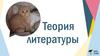 Теория литературы