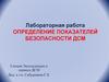 Определение показателей безопасности ДСМ