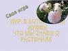 Своя игра. Что мы знаем о растениях