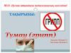Тұмау (грипп)