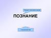 Познание. Гносеология