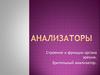 Анализаторы. Строение и функции органа зрения. Зрительный анализатор