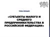 Субъекты малого и среднего предпринимательства РФ. Особенности нормативного правового регулирования деятельности