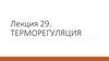 Терморегуляция. Лекция 29
