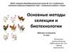 Основные методы селекции и биотехнологии. WEB-квест по биологии. 11 класс