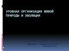 Уровневая организация живой природы и эволюция