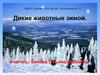 Дикие животные зимой
